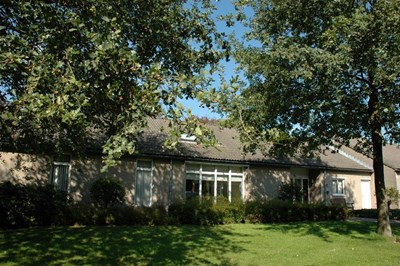 kievitsvlucht 1 2.jpg