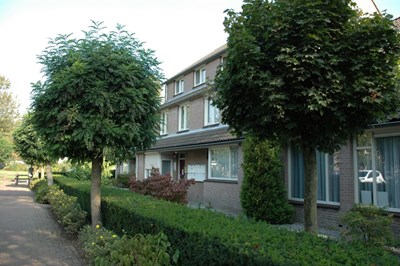 wildeman 3.jpg