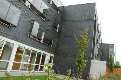 schop 2.jpg