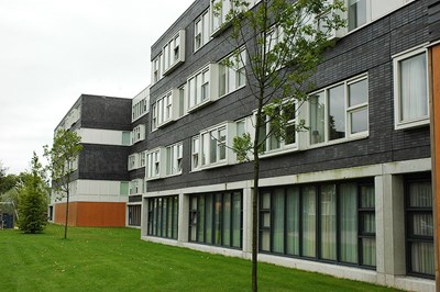 schop 4.jpg