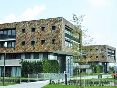 koetshuis1.jpg