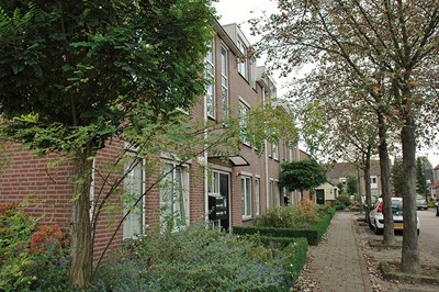 hoge donk.jpg (1)