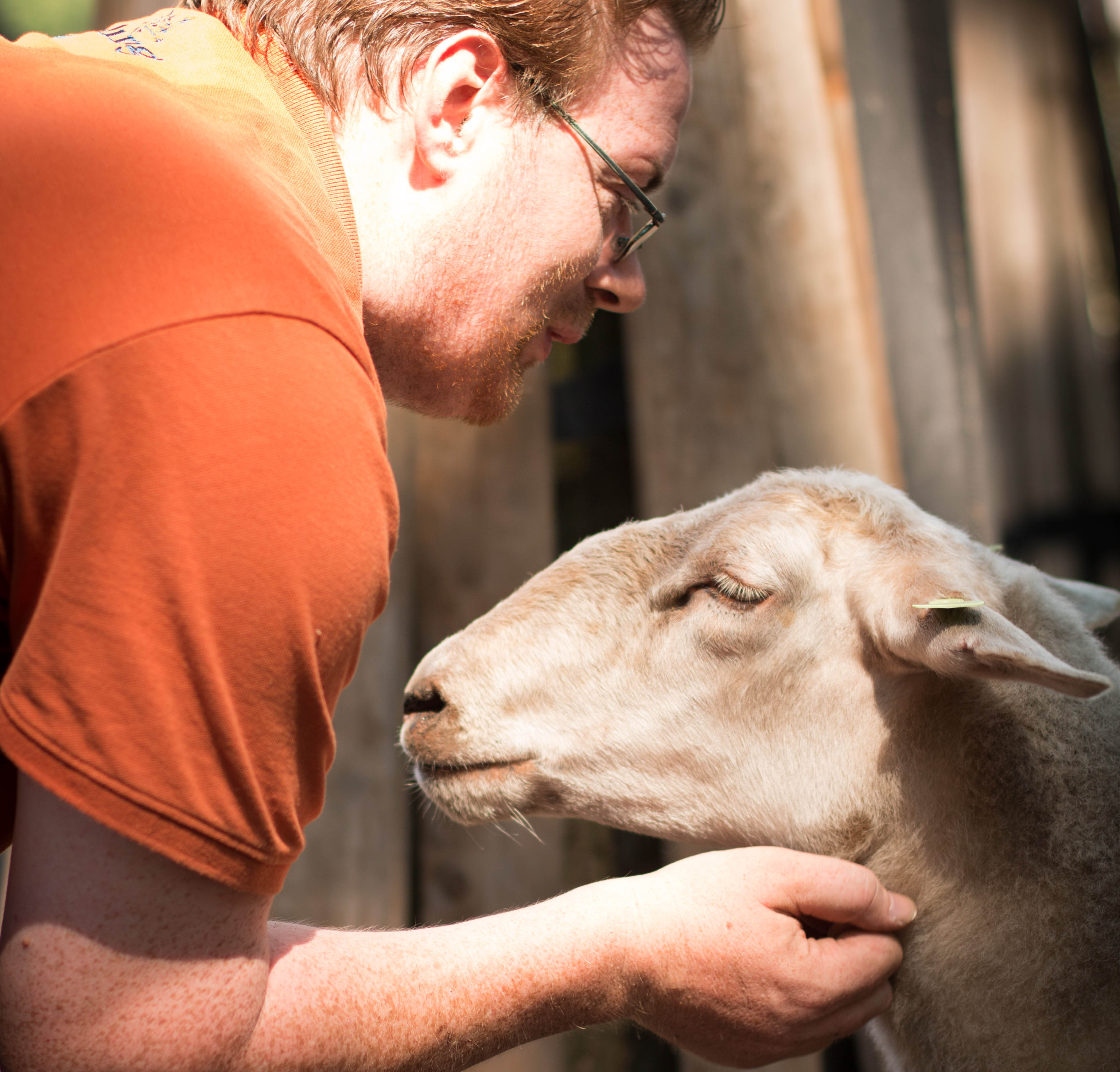 Werken met een beperking.jpg