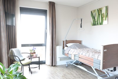hospice 4.jpg