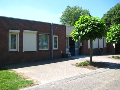 mierennest 7 2.jpg