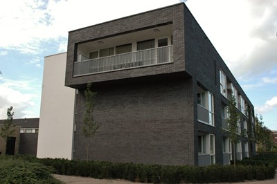DSC_0703.JPG (1)