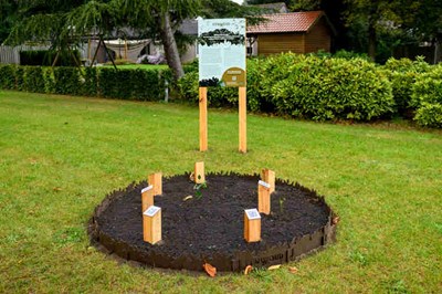 Landpark Kunst 4