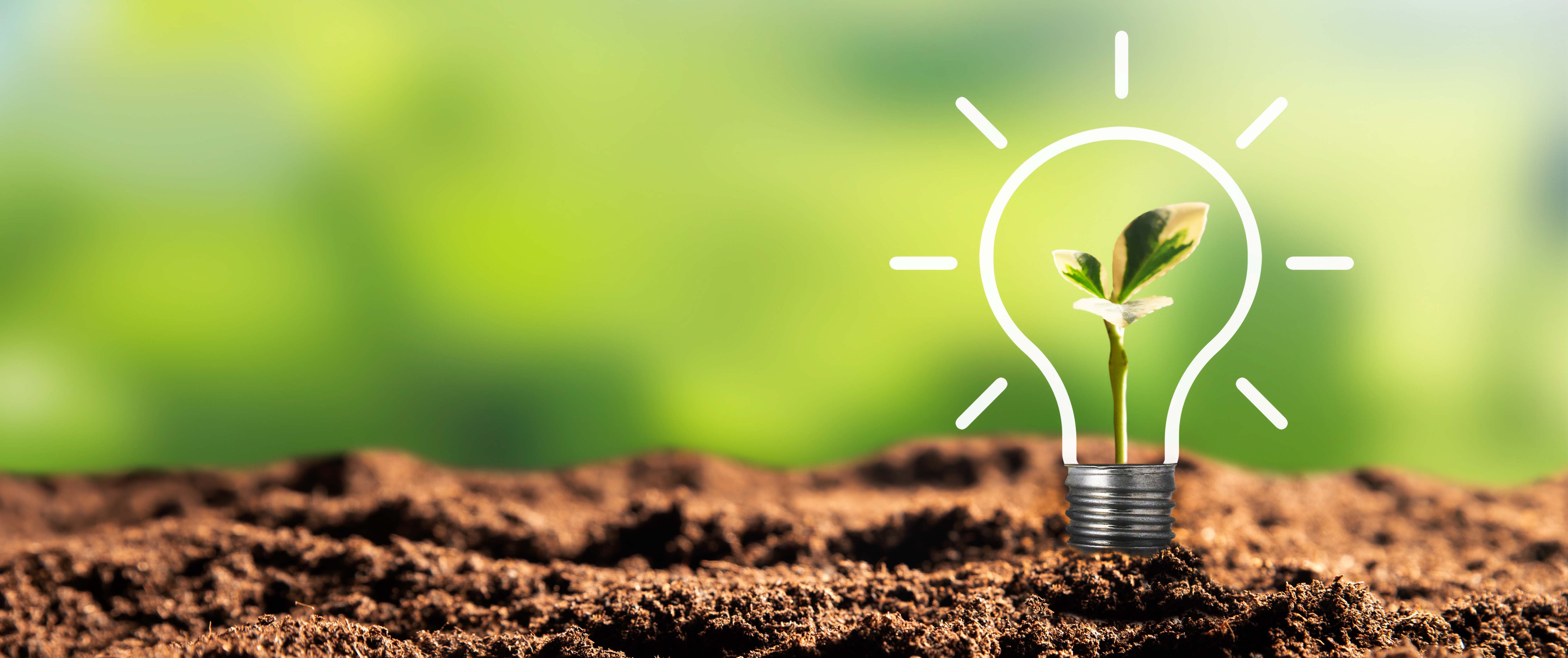 Low Adobestock 391858327