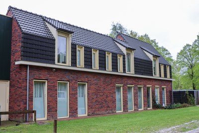 IMG 3393