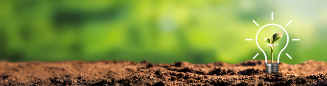 1 Low Adobestock 391858327